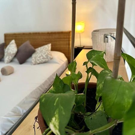La Casa Sull'Albero Nel Cuore Di Milano Zewnętrze zdjęcie